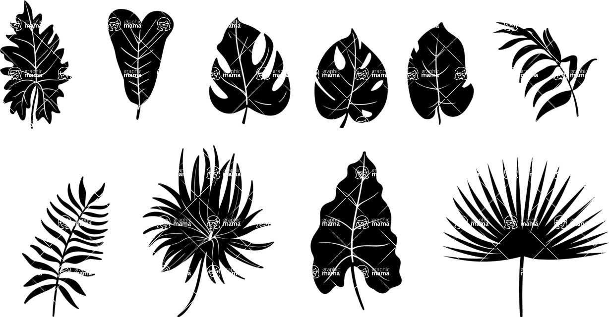 Vector silhouettes - Vector Exotic Leaf Silhouettes Set